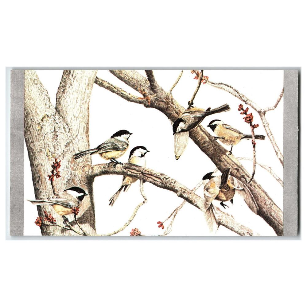 Black-Capped Chickadee Bird Art Postcard Late Winter Sweetener Karen Allaben